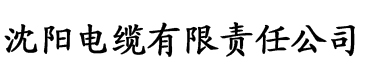 亚洲综合在线一区二区三区电缆厂logo